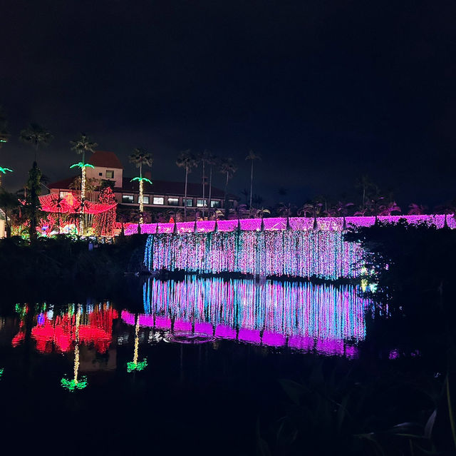 【️沖縄】 美らヤシパークオキナワ 東南植物楽園🌴