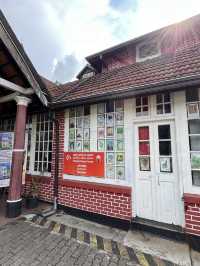 🫖🌸 Half-Day in Nuwara Eliya: Tea Hills & the Pink Post Office