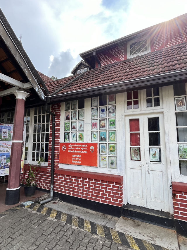 🫖🌸 Half-Day in Nuwara Eliya: Tea Hills & the Pink Post Office