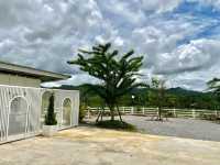 คาเฟ่ใกล้ชิดธรรมชาติที่ป่าละอู #หัวหิน จ.ประจวบฯ