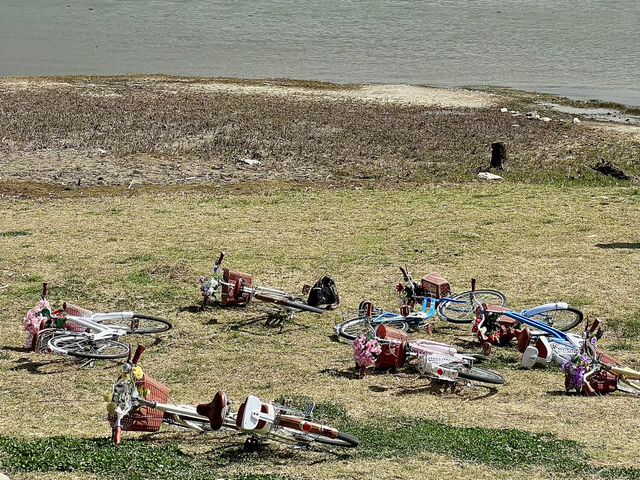 One fine day at Erhai lake in Dali!