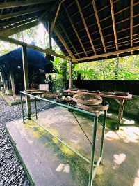 Sip, Scent & Civet: Luwak Tasting at Santi Coffee Plantation