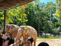 Vinpearl Safari Fun