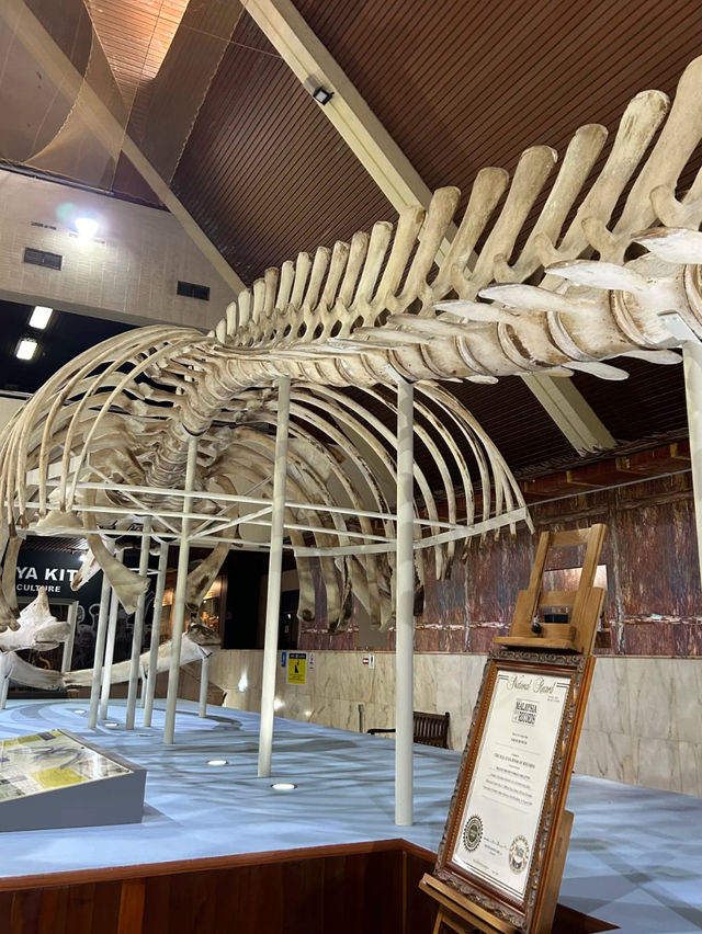 Discovering Borneo’s Heart: A Wander through Sabah Museum