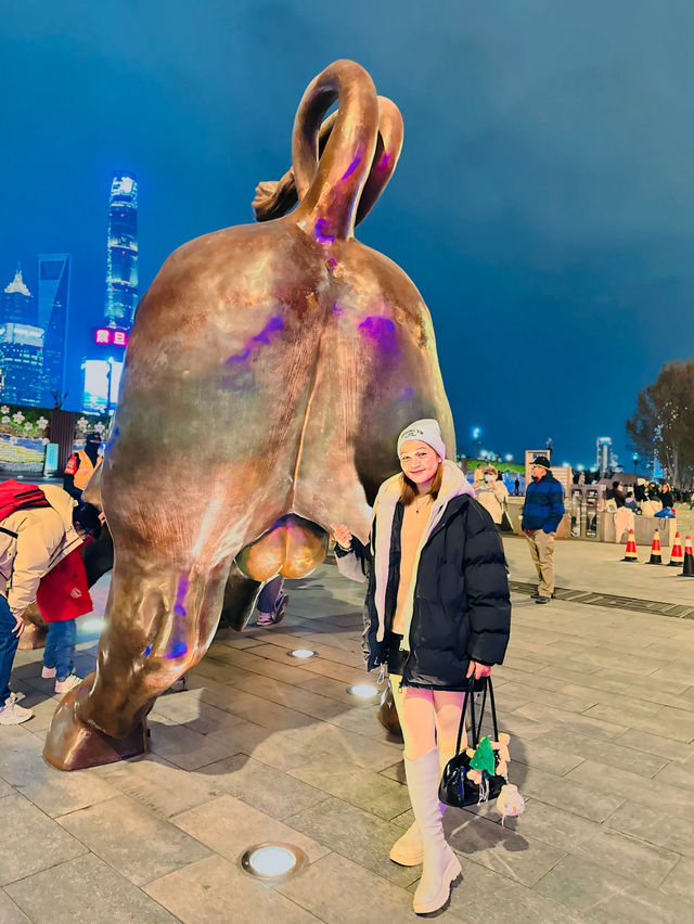 🇨🇳The Bund night…🌈