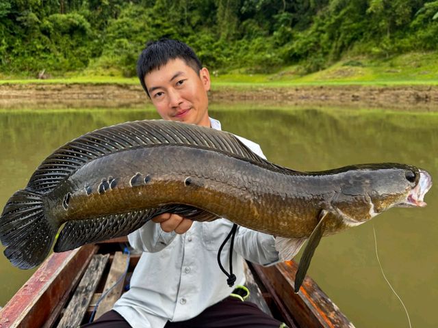 到泰国秋兰湖感受钓鱼天堂和野生动物天堂的魅力