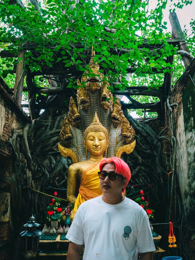 🌿 วัดสังกระต่าย Unseen ของอ่างทองที่แท้จริง