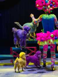 AQUA CIRCUS PHUKET