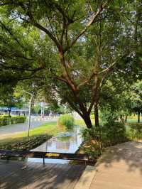 🌿城市裡的綠意綠洲：桃園《風禾公園》，親子野餐滑草超chill！