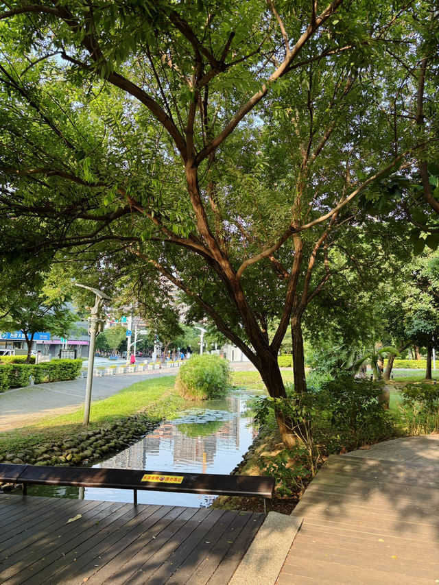 🌿城市裡的綠意綠洲：桃園《風禾公園》，親子野餐滑草超chill！