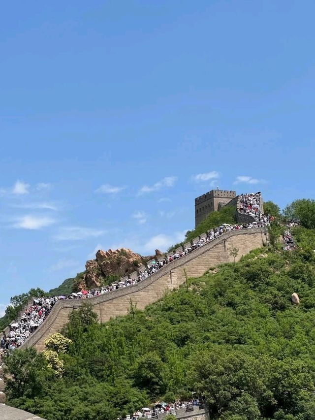 🏯 “Walk Through History: The Timeless Great Wall”