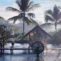TM Farm Yangon: A Solo Traveler's Rustic Escape on a Budget** 🌿🚜
