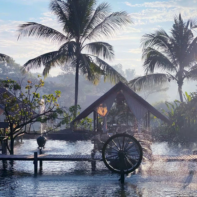 TM Farm Yangon: A Solo Traveler's Rustic Escape on a Budget** 🌿🚜