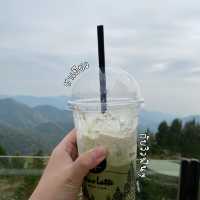 Pino Latte Resort & Cafe คาเฟ่วิวภูเขา