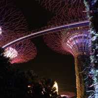 สิงคโปร์ Singapore
