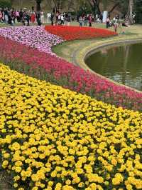🌷 Visit Guangzhou Spring Festival 🌹✨