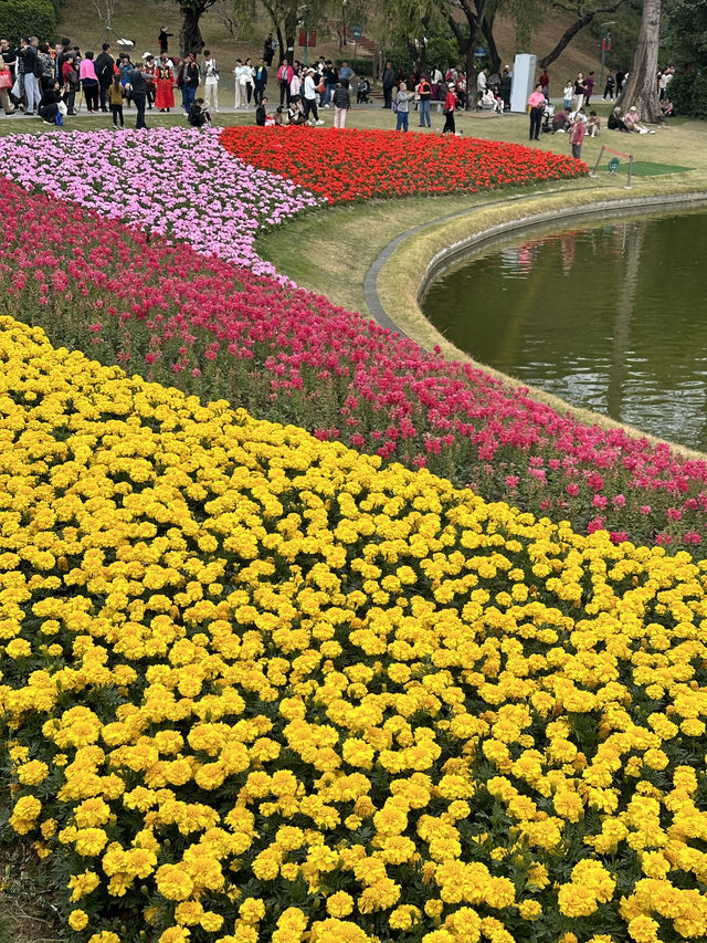 🌷 Visit Guangzhou Spring Festival 🌹✨