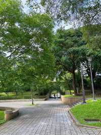 🌳奧爾森林學堂 藏身都市裡的森林教室:貓頭鷹樹屋、恐龍樂園、親子自然冒險一日遊!
