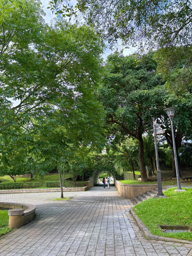 🌳奧爾森林學堂 藏身都市裡的森林教室:貓頭鷹樹屋、恐龍樂園、親子自然冒險一日遊! 🌳奧爾森林學堂 藏身都市裡的森林教室:貓頭鷹樹屋、恐龍樂園、親子自然冒險一日遊!