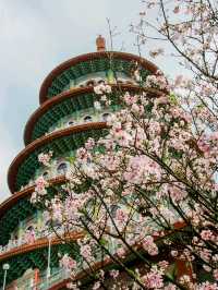 วัดอู๋จี๋เทียนหยวน (Wuji Tianyuan Temple)