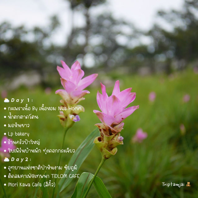 เที่ยวชัยภูมิ 2 วัน 1 คืน 🌷🚗 🌳