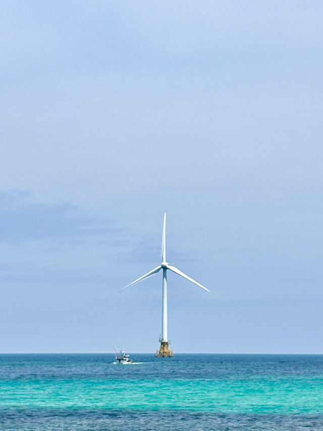 🌴 자연과 감성이 가득한 섬, 제주도 3박 4일 여행코스