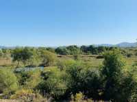 🌿🦆 *Ansim Wetland Ecological Park (안심습지생태공원): Daegu’s Hidden Nature Sanctuary* 🚶‍♀️📸