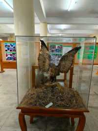 International Mountain Museum 