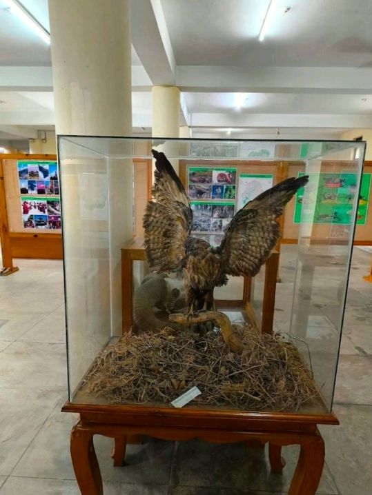 International Mountain Museum 