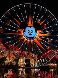 🎆 Disneyland Parade + California Adventure – Double the Magic in LA! 🎠🌴