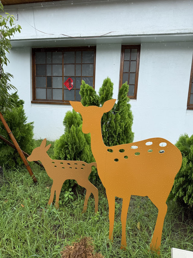 《土庫庄役場》百年身世|從日治官舍到地方文化基地 《土庫庄役場》百年身世|從日治官舍到地方文化基地