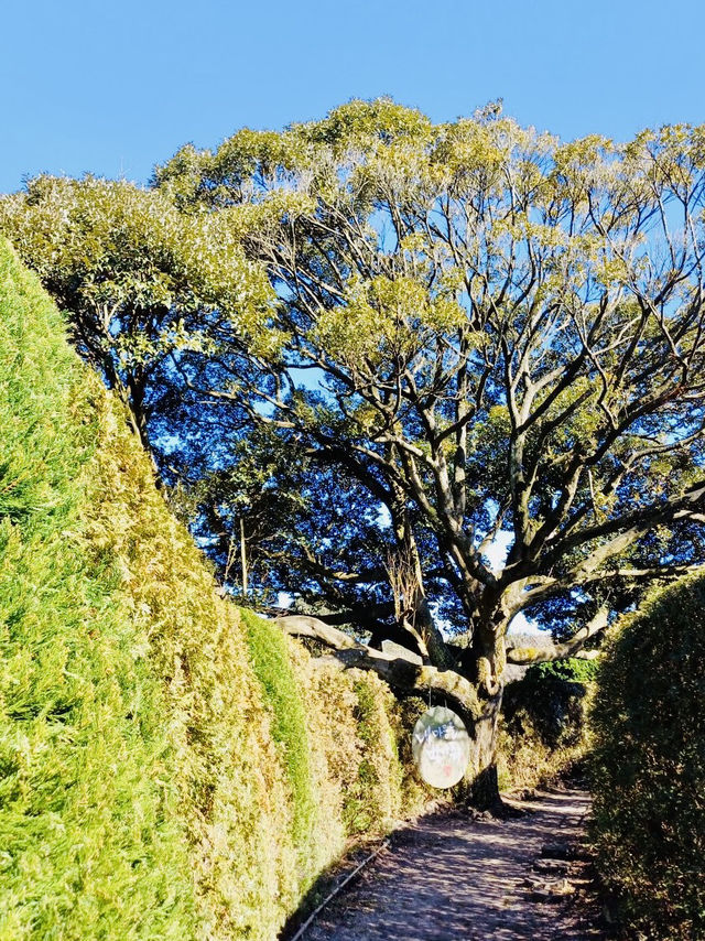 A Unique Themed Park Celebrating Jeju's Symbols