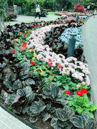 Petal Garden at Jewel Changi – Colourful Floral Wonderland