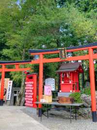 【最強インスタ映え神社】 鳥居が映える犬山の稲荷神社