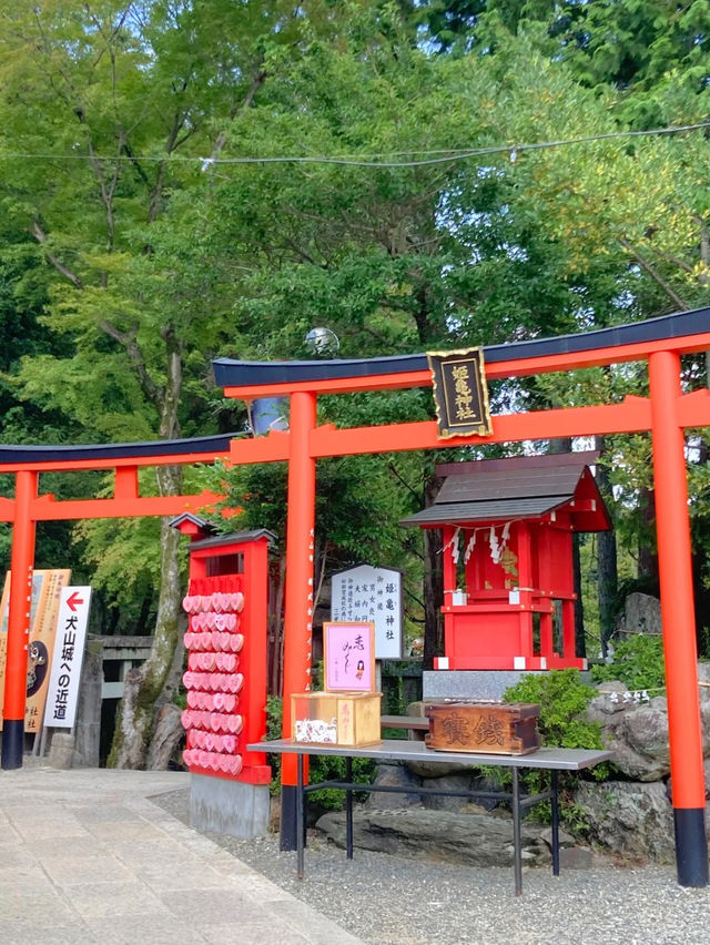 【最強インスタ映え神社】 鳥居が映える犬山の稲荷神社