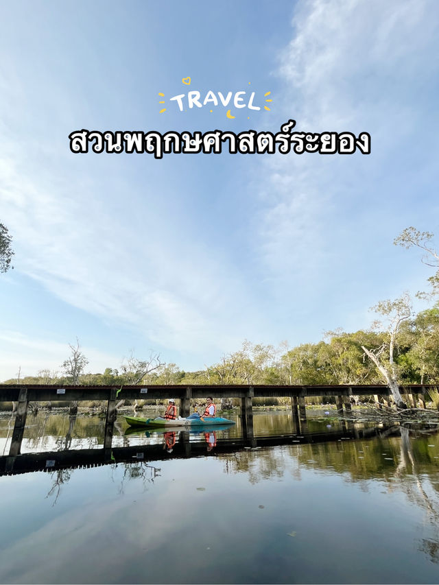 สวนพฤกษศาสตร์ระยอง 🪷🫧