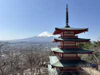新倉富士淺間神社:捕捉富士山最經典的瞬間