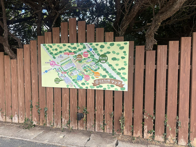 【ぶどうの樹 岡垣本店｜福岡・岡垣町 「海・森・グルメが融合する体験型レストラン＆リゾート」】 