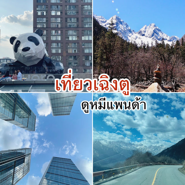 เที่ยวเฉิงตู ดูหมีแพนด้า 🐼🐼🐼 เที่ยวเฉิงตู ดูหมีแพนด้า 🐼🐼🐼