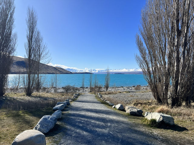 🪑 Lake Tekapo Picnic Bench｜湖畔藍景的專屬座位