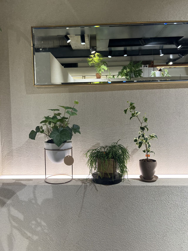 성수동 카페거리, 식물로 화사하게