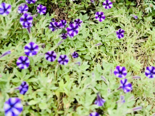 Escape to Nature’s Wonderland! 