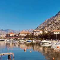 🏰🌊 Solo Adventure in a Fairytale Fjord: Kotor, Montenegro – Where Mountains Meet the Mediterranean
