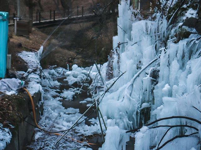 [공주] 산채정식으로 든든히 채우고, 마곡사 한 바퀴