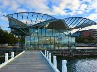 🎠 The Carousel – Nostalgia by the Bay, Geelong 
