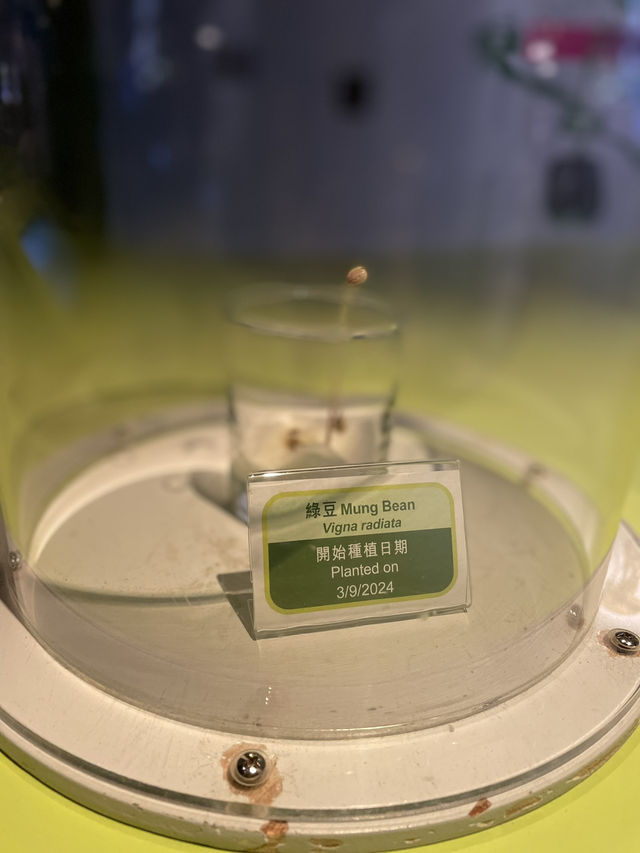 🇭🇰 Palaentology Gallery in Hong Kong Science Museum  🇭🇰 Palaentology Gallery in Hong Kong Science Museum