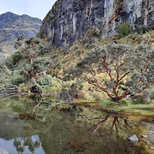 Exploring the Wild Beauty of El Cajas National Park