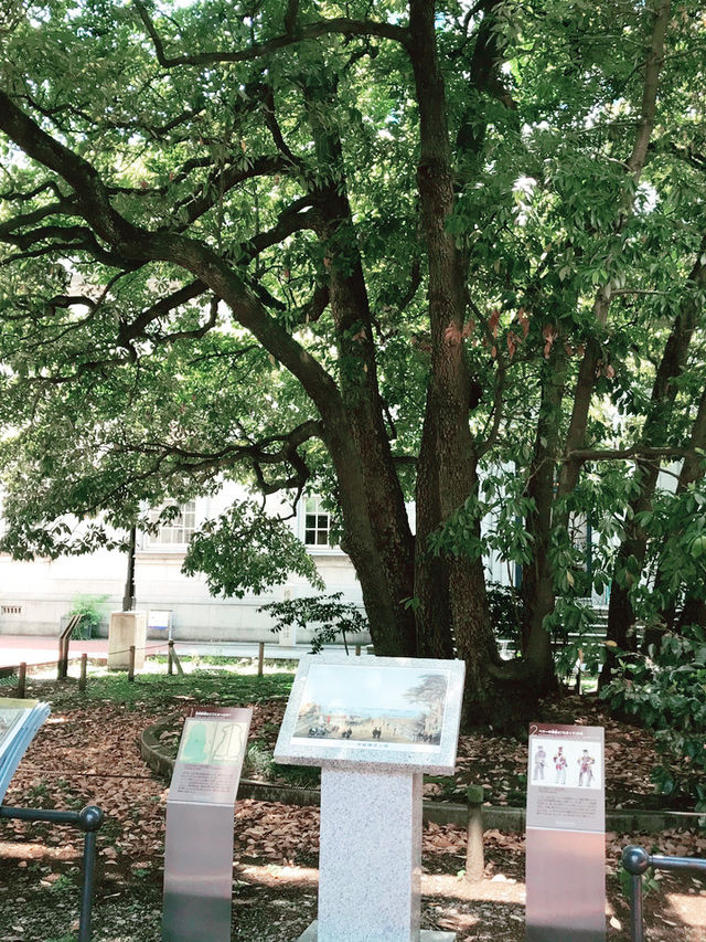 🚲 レトロ建築と雑貨めぐり！横浜・開港エリアサイクリング