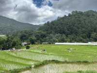นาขั้นบันได บ้านแม่กลางหลวง ดอยอินทนนท์