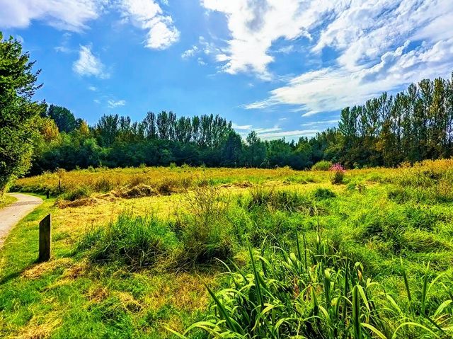 Reddish Vale Country Park – Nature on the Edge of the City Reddish Vale Country Park – Nature on the Edge of the City